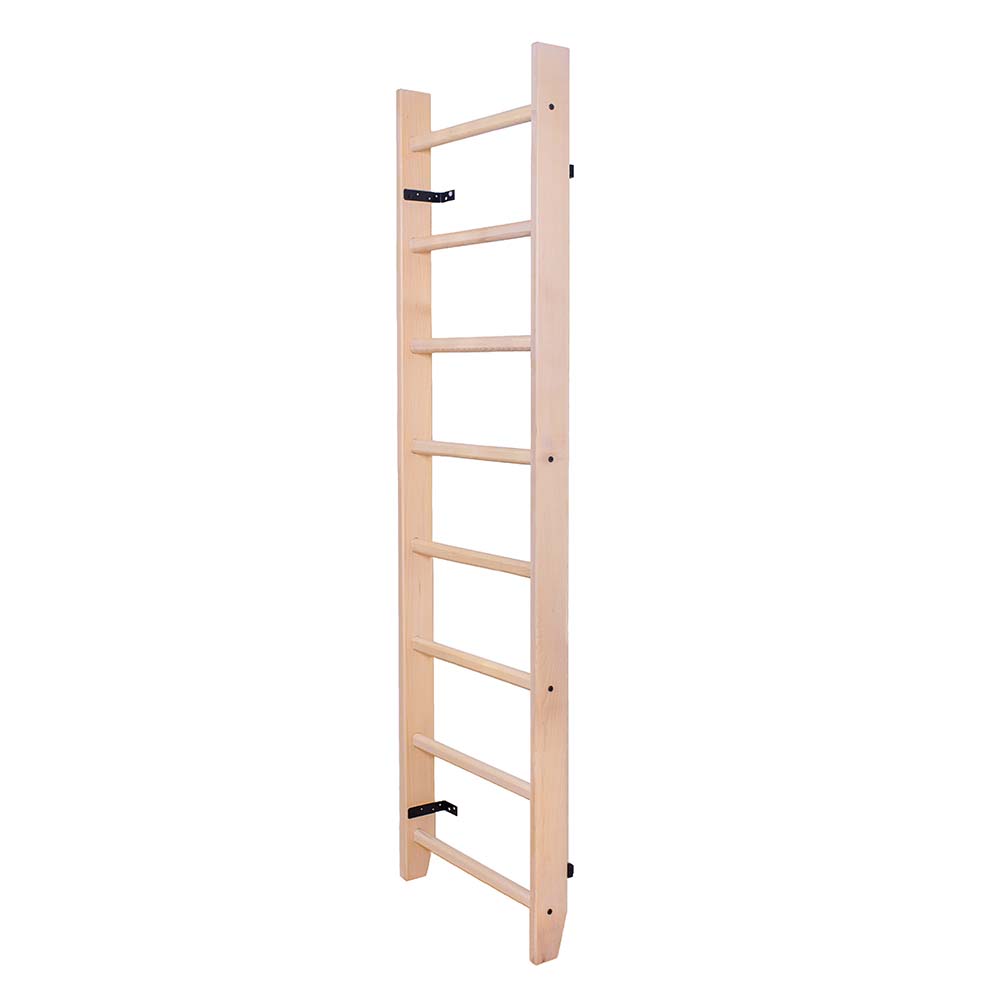 BenchK Childrens Ladder