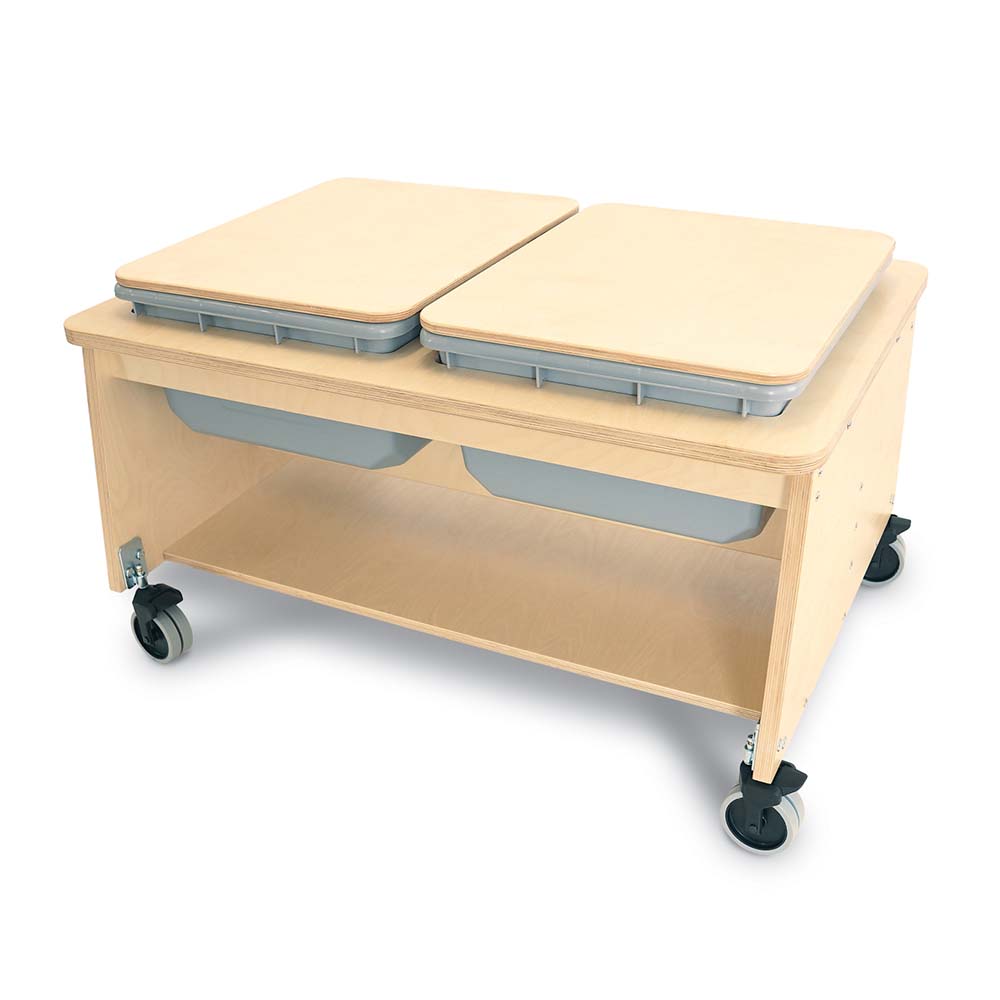 Whitney Brothers Two Tub Sand and Water Table with Lids
