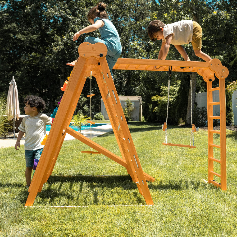Avenlur Chestnut 8 - in - 1 Indoor Outdoor Jungle Gym - Dollhaus
