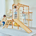 Avenlur Grove Indoor Jungle Gym - Dollhaus