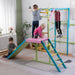 Avenlur Grove Indoor Jungle Gym - Dollhaus