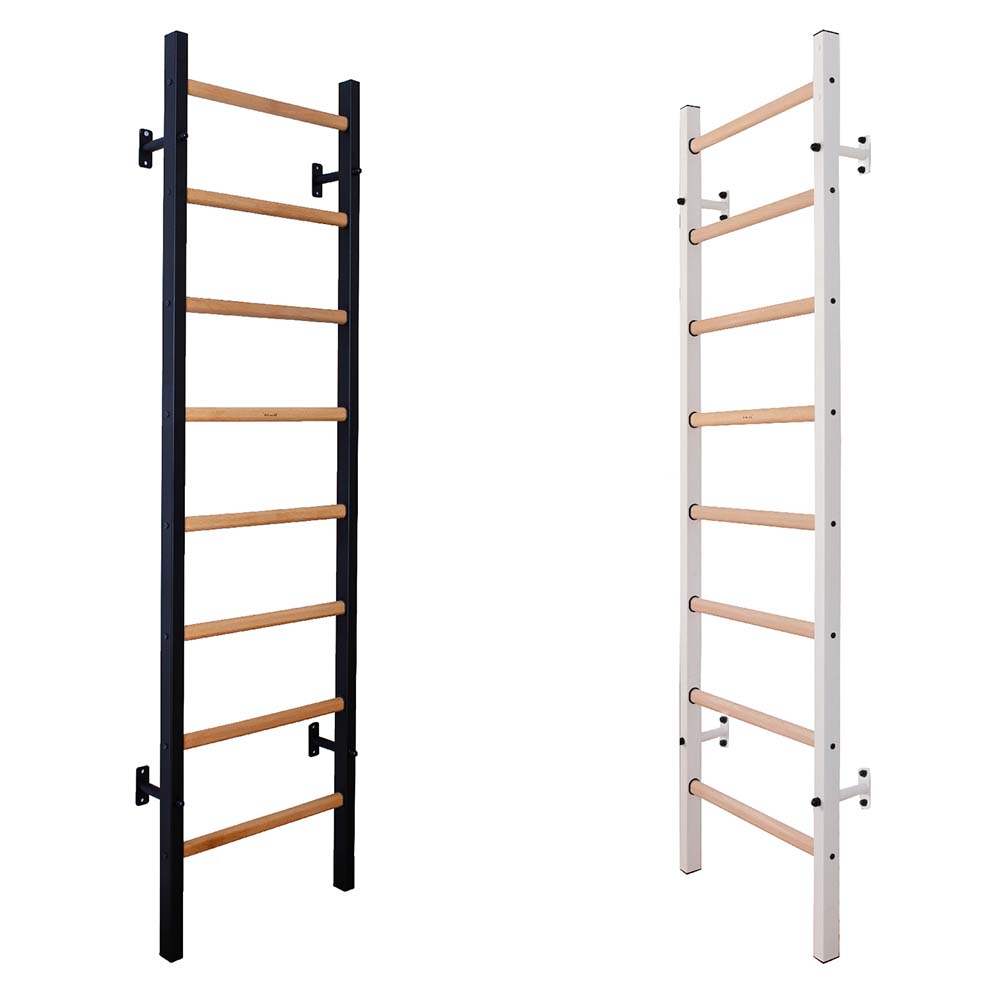 BenchK Black and White Steel Ladder