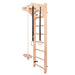 BenchK Childrens Ladder with Pull Up Bar and Gymnastics Accessories