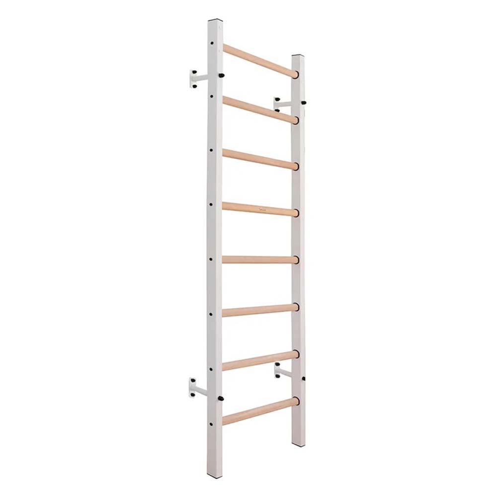 BenchK Steel Ladder White Angle