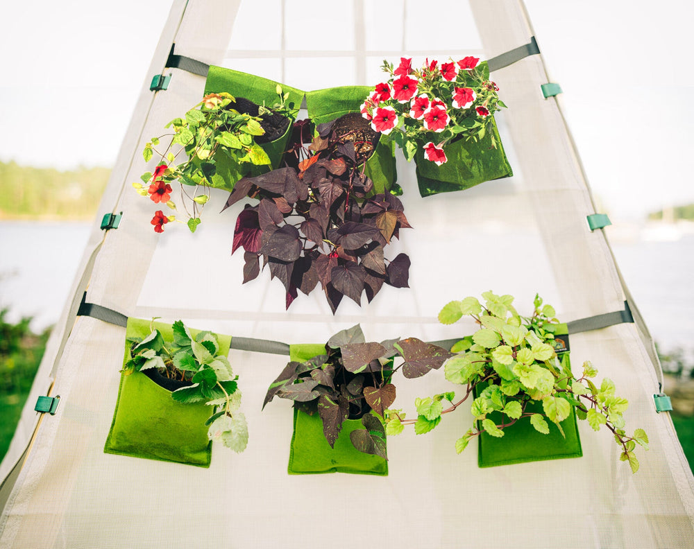 Bijou Build Hanging Planters - Dollhaus