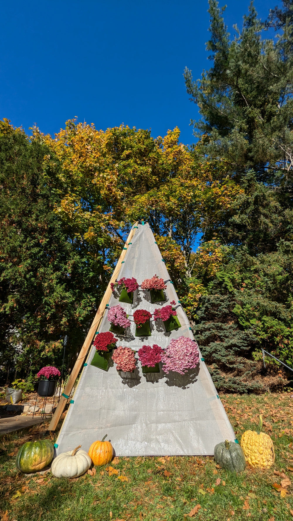 Bijou Build Hanging Planters - Dollhaus