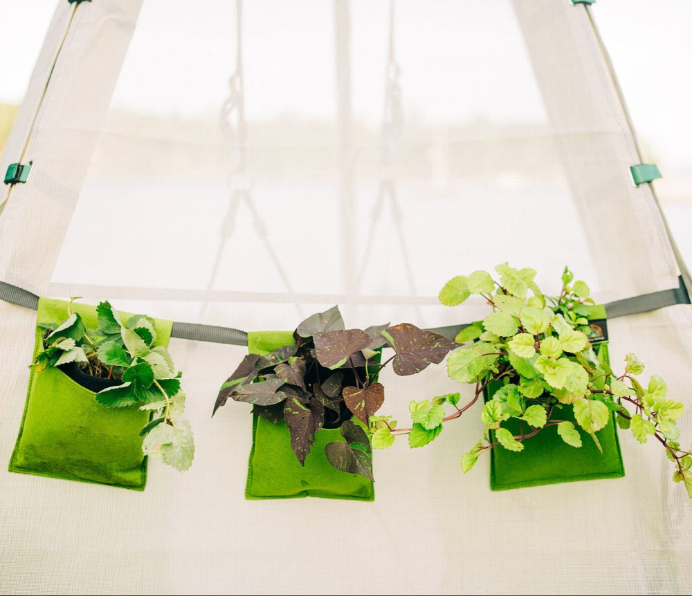 Bijou Build Hanging Planters - Dollhaus