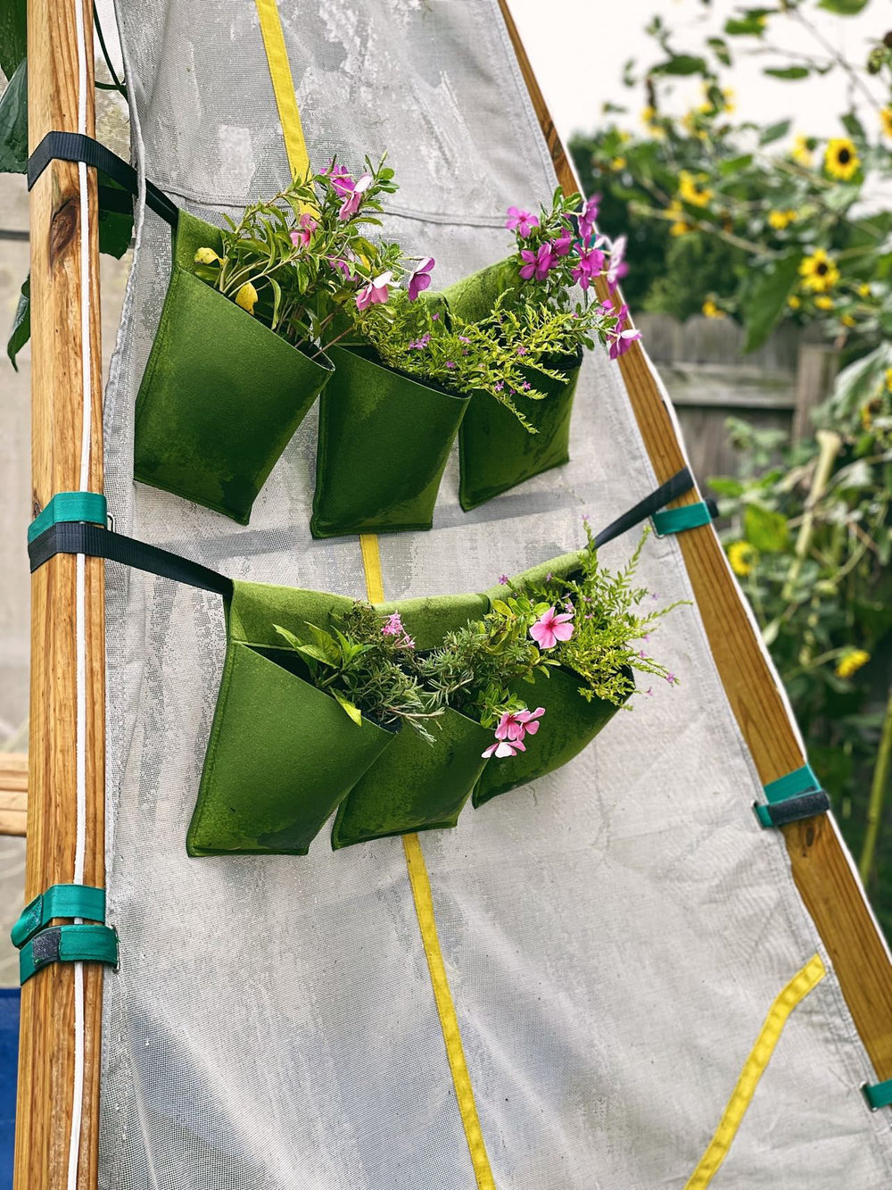 Bijou Build Hanging Planters - Dollhaus