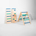 Set of wooden climbing toys with colorful rungs on a white background