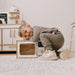 Child playing with a toy microwave in a room with wooden furniture and a white wall.