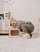 Child in a playroom with toy white wooden microwave on the floor with child leaning over the top