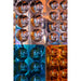 Litezilla_Bubble_Wall_Multicolor