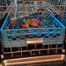 Litezilla_Sanitation_Basket_with_Pins_In_Dishwasher