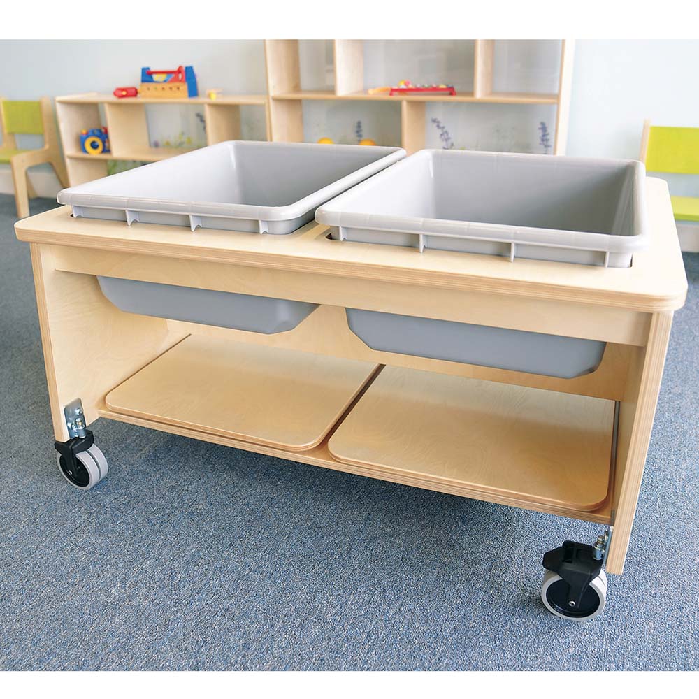 Whitney Brothers Two Tub Sand and Water Table in Playroom
