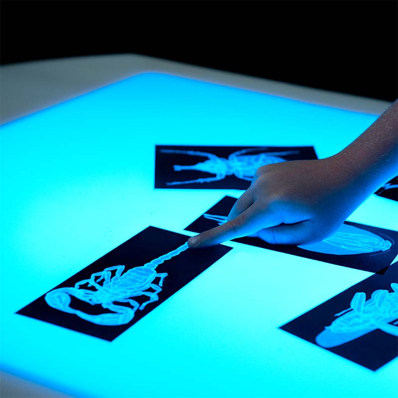 Wood Designs Sensory Play Brilliant Light Table X-Ray